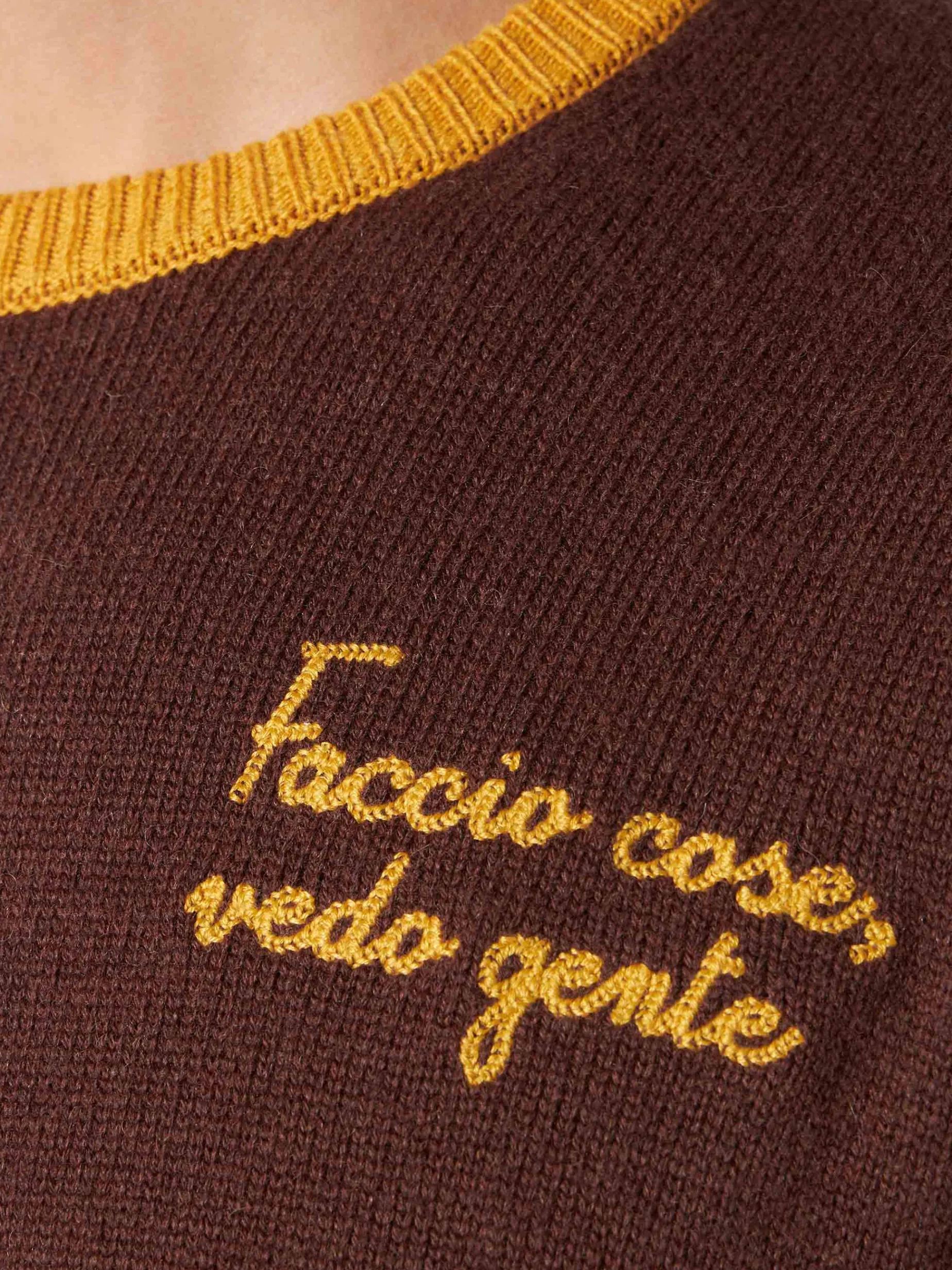 Brauner Herrenpullover mit Faccio-Cose- und Vedo-Gente-Stickerei