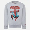 Graues Jungen-Sweatshirt mit Rundhalsausschnitt und Spiderman-Aufdruck | MARVEL-SONDERAUSGABE
