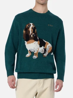 Grüner Herrenpullover Heron mit Basset Hound-Print