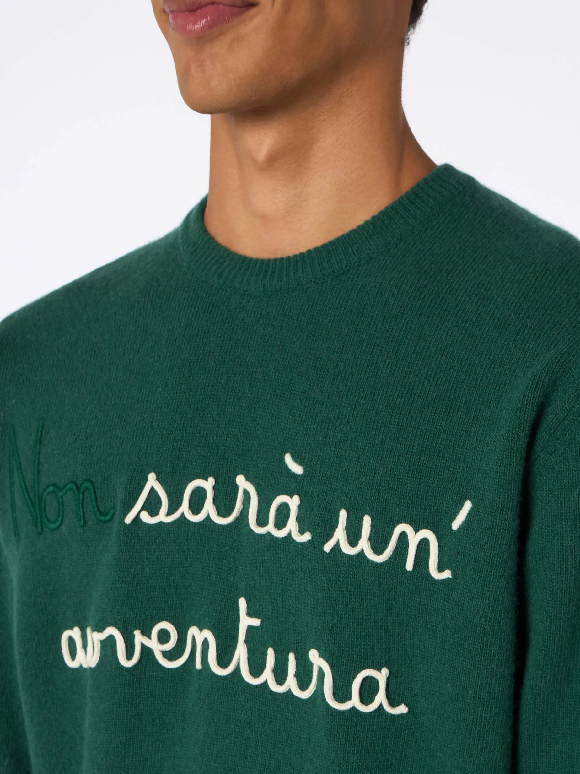 Grüner Herrenpullover Heron mit Stickerei Non sarà un'avventura