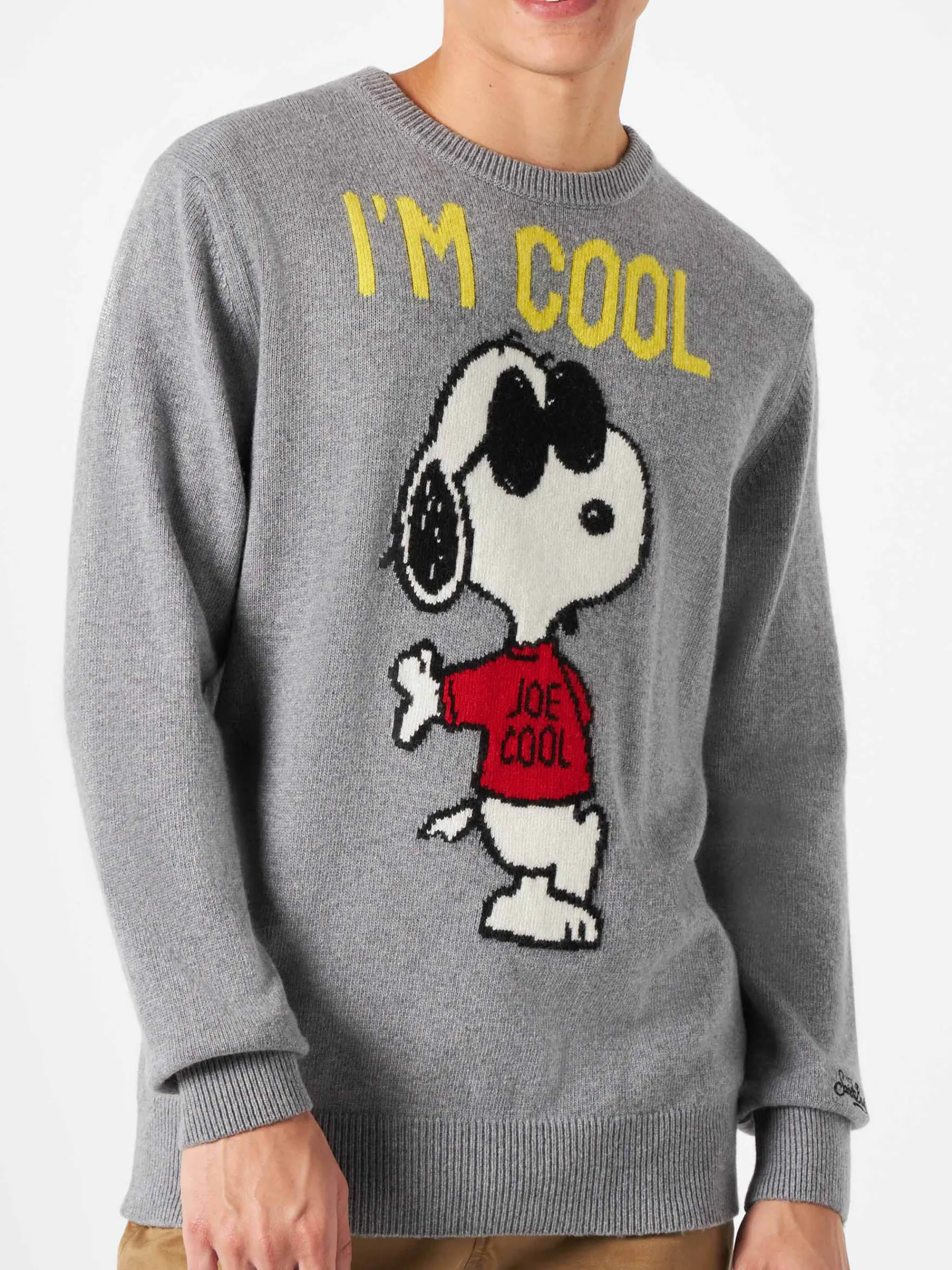 Herrenpullover mit grauem Rock Snoopy | SNOOPY – PEANUTS™ SONDEREDITION