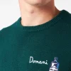 Herrenpullover mit Rundhalsausschnitt und Domani Smetto-Stickerei