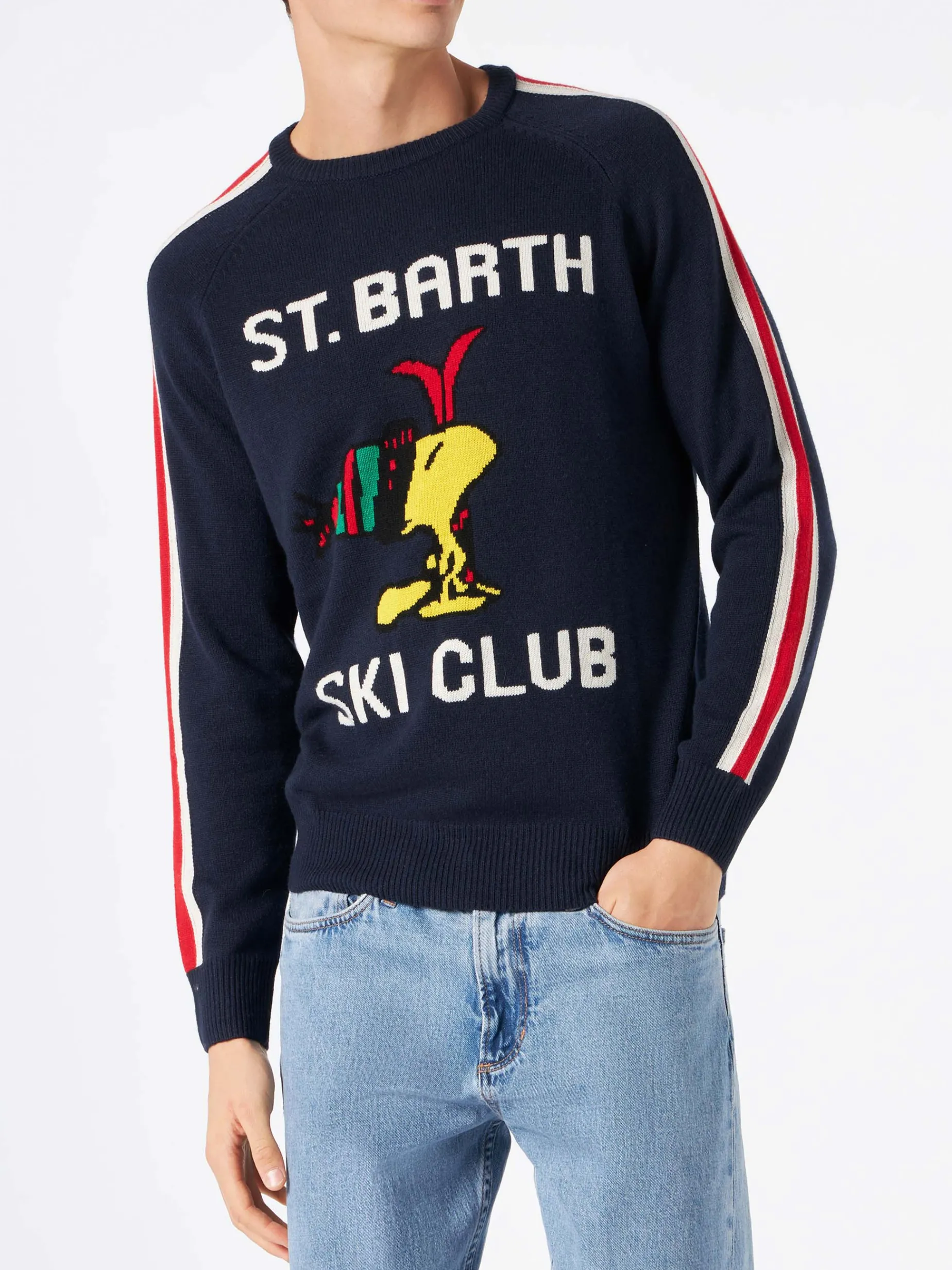 Herrenpullover mit Woodstock-Print | WOODSTOCK – PEANUTS™ SONDEREDITION