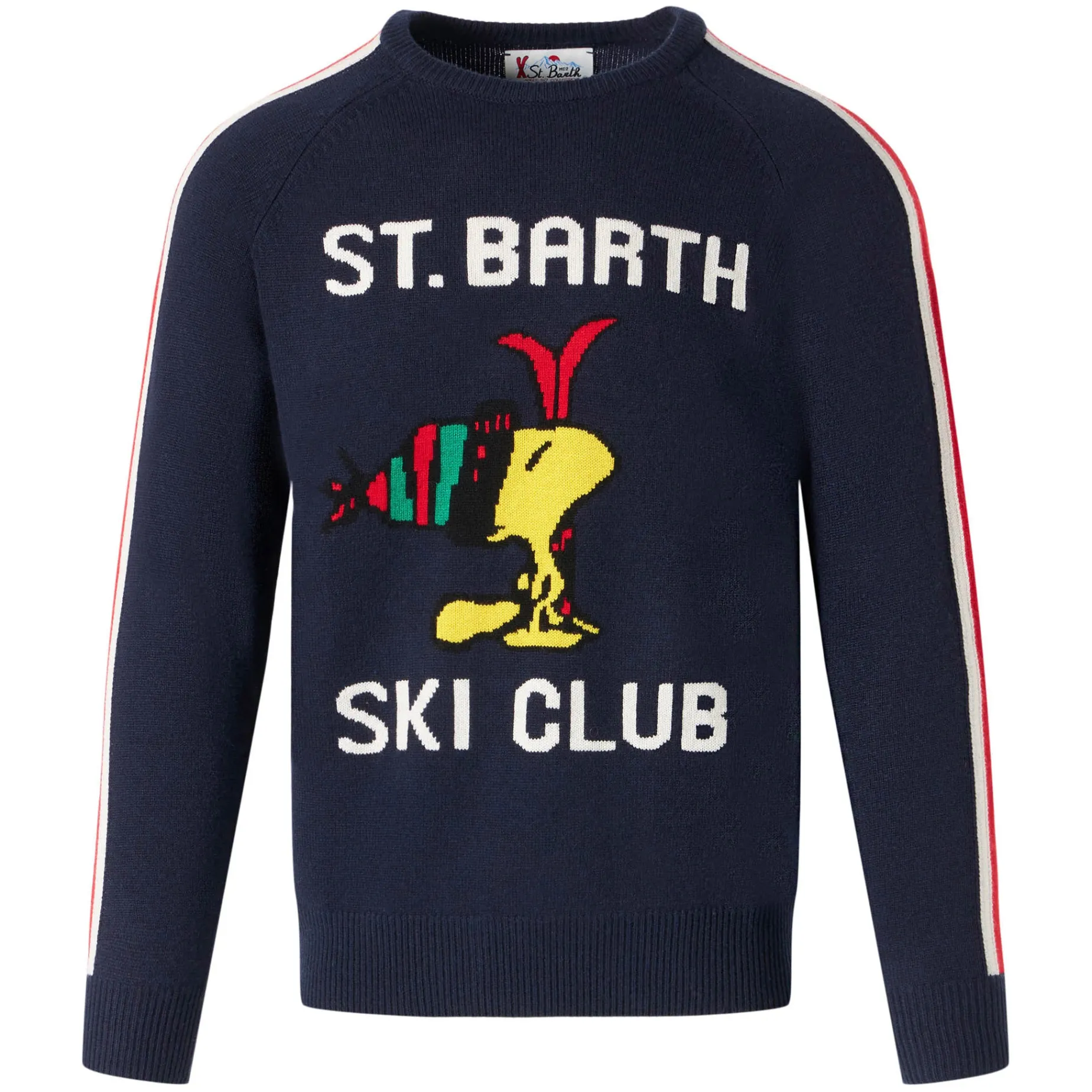 Herrenpullover mit Woodstock-Print | WOODSTOCK – PEANUTS™ SONDEREDITION