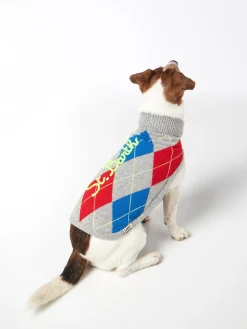 Hundepullover mit Argyle-Print