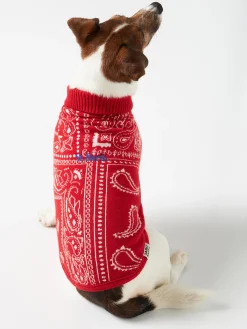 Hundepullover mit Bandana-Print
