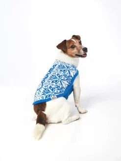 Hundepullover mit nordischem Aufdruck