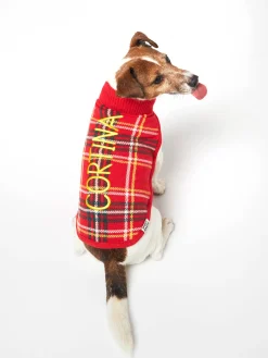 Hundepullover mit Tartan-Print