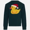 Jungenpullover mit Rundhalsausschnitt und Entenmuster