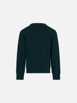 Jungenpullover mit Rundhalsausschnitt und Entenmuster