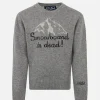Snowboard ist tot, grauer Jungenpullover
